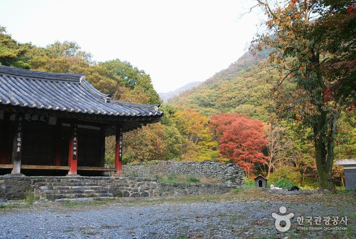 충남_부여_부여 무량사14
