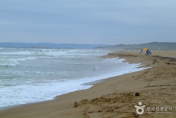 七浦海水浴场（칠포해수욕장）
