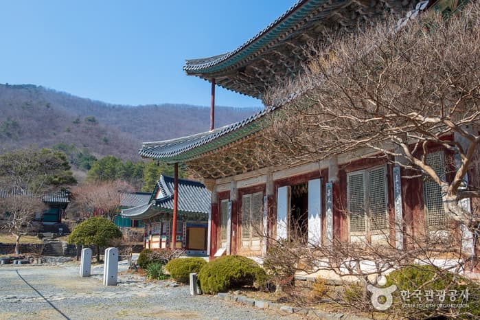 부여 무량사