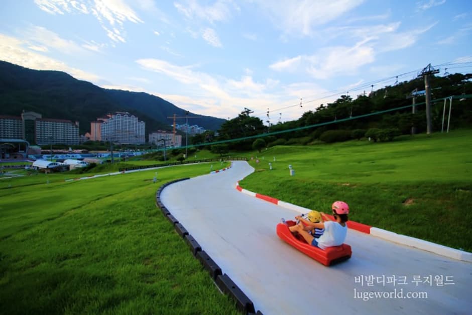 루지월드_전경4