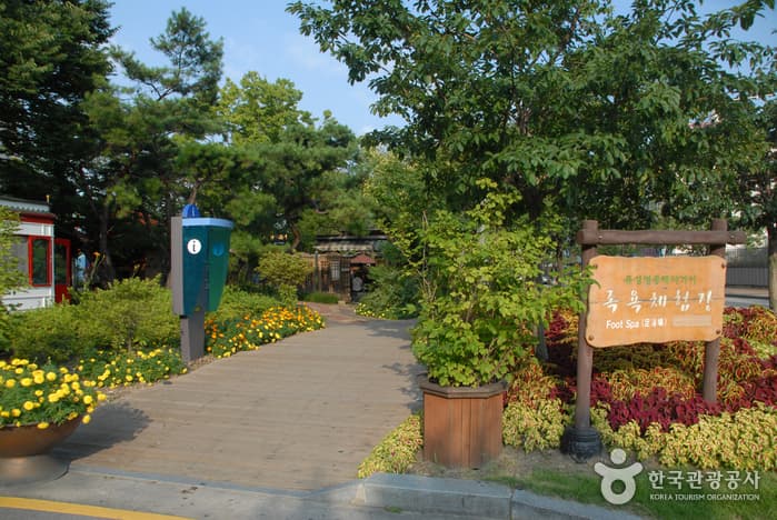Yuseong Hot Springs