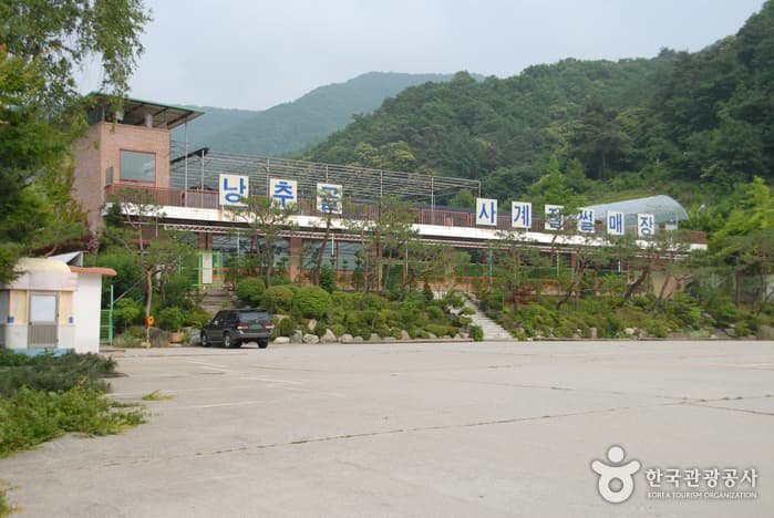 낭추골 현장학습원 사계절썰매장