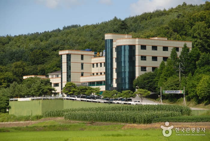 Mungang Sulfur Hot Springs (문강유황온천)