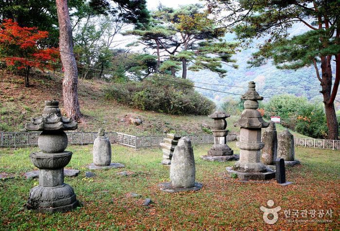 충남_부여_부여 무량사15
