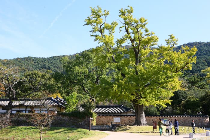 전남_해남_고산 윤선도 유적지01