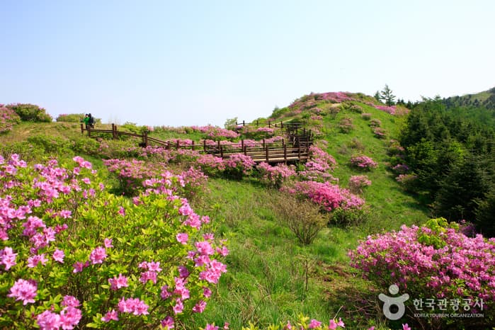 지리산
