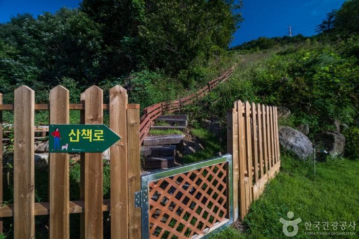 경기_반디빌리지_부대시설_산책로