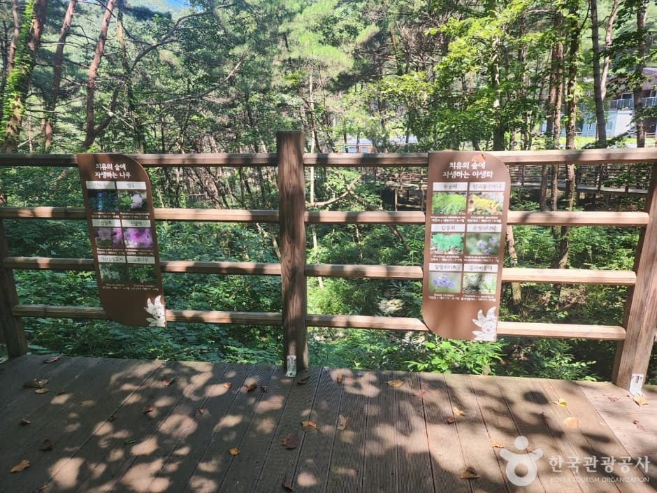 거창 항노화힐링랜드_4