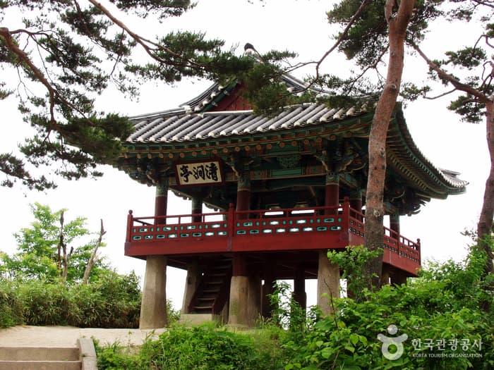 청간정8