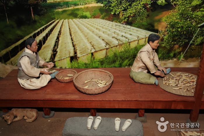 충남_금산인삼관12