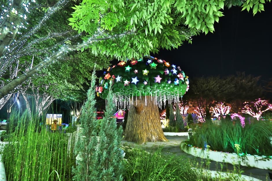 청도 프로방스 빛축제 (7)