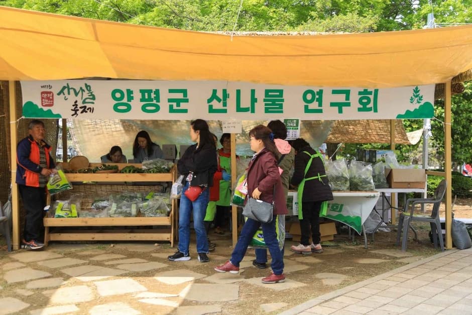2024 양평 용문산 산나물축제 이미지 7