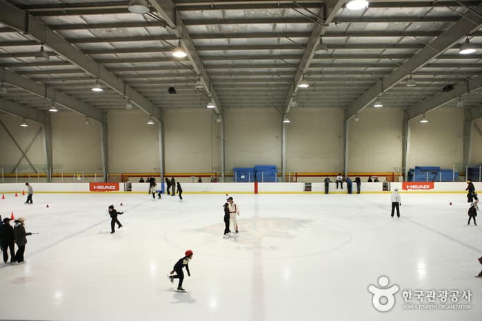 Korea University Ice Skating Rink (고려대학교 아이스링크)