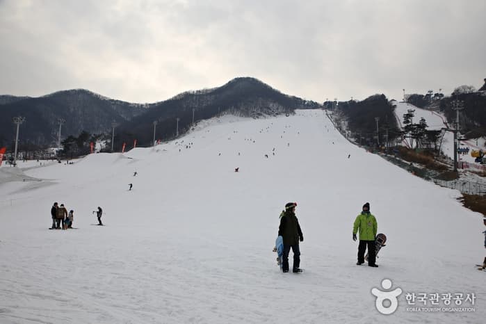 경기_강원_서울 근교 스키장 열전07