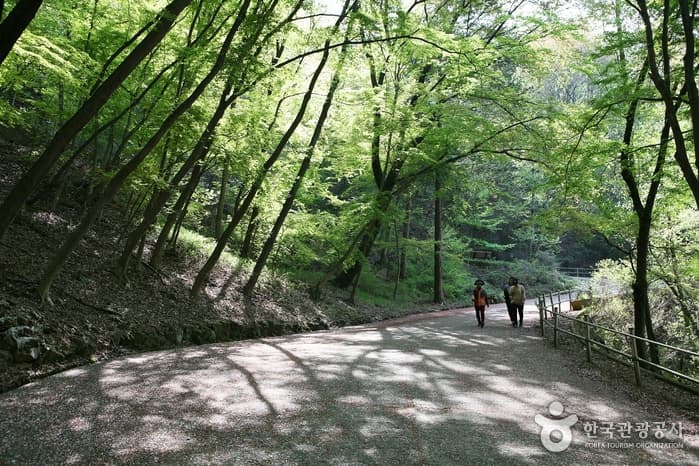 完山七峰(完山公园)완산칠봉(완산공원)