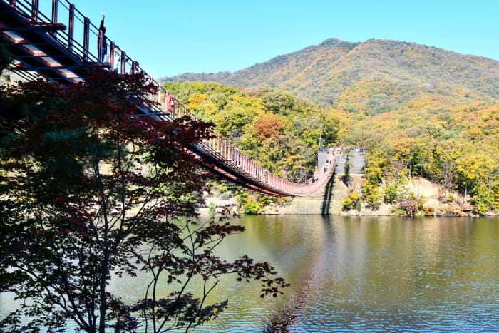 오늘, 지금, 여기! 가장 핫한 DMZ 스팟으로 떠나보자!