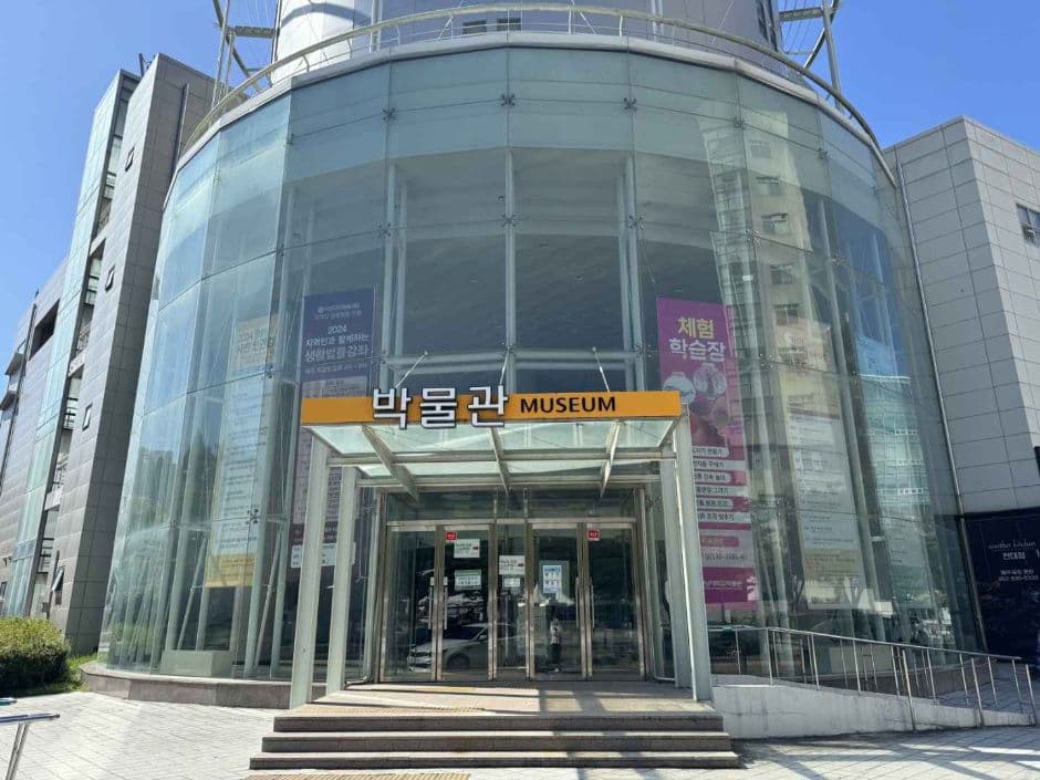 광주_전남대학교 박물관 (1)