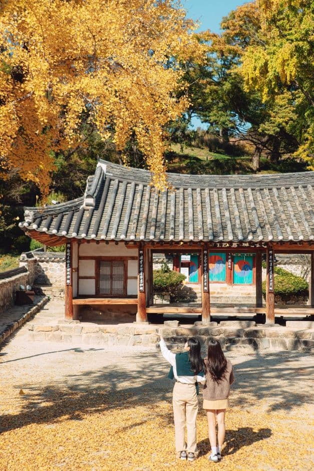 정읍_무성서원 (3)