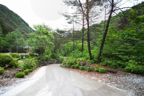 가리왕산자연휴양림_06