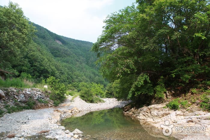 정선덕산기트레킹39