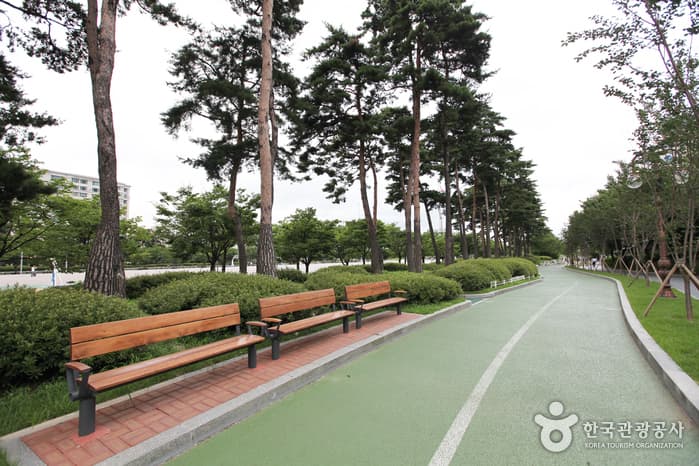 여의도공원
