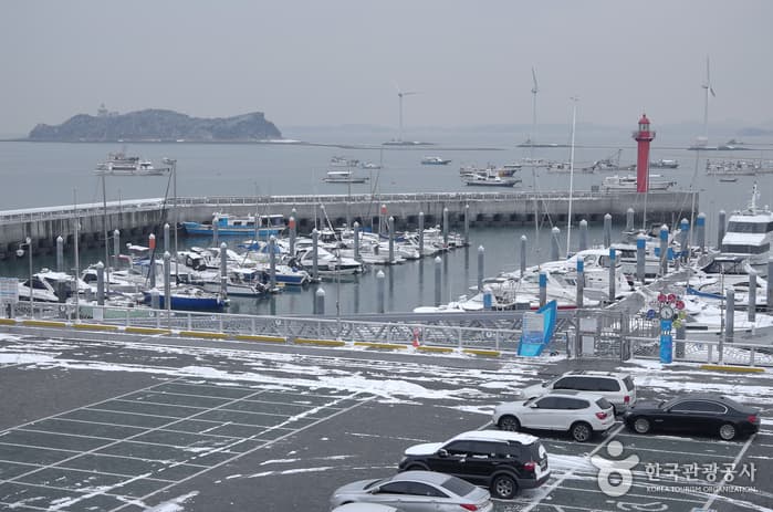 경기_화성_화성 사강시장을 찾아서14
