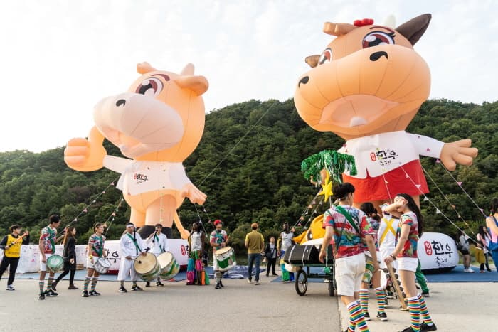 橫城韩牛节 횡성한우축제