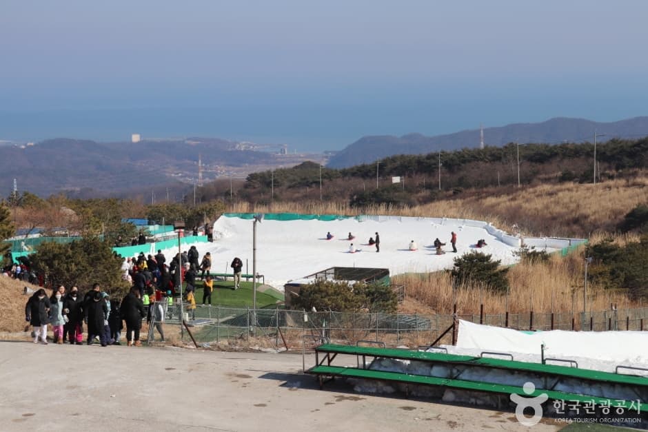 양남 눈썰매장