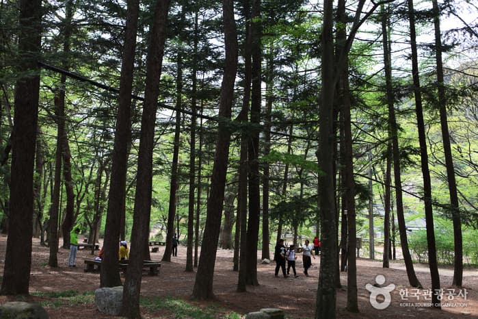 충북_보은_속리산법주사06