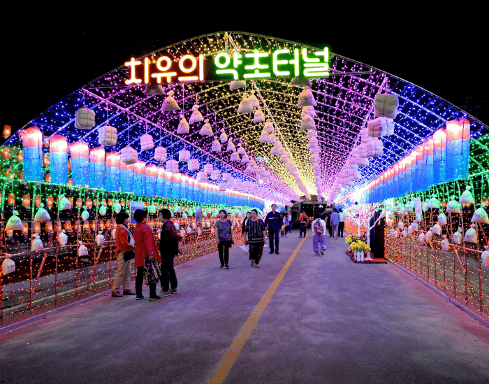 산청한방약초축제 (3)