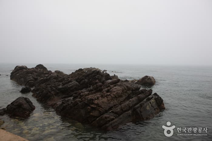 영덕군 경정2리 차유돔 바위