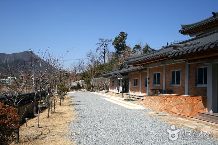 自然染色博物馆(자연염색박물관)