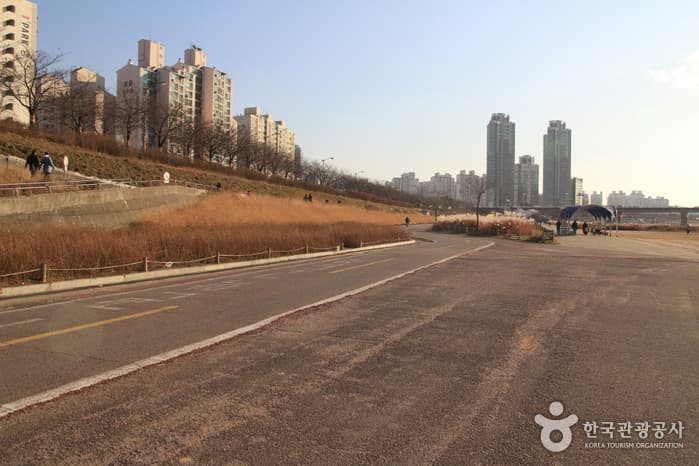 서울_양천_안양천02