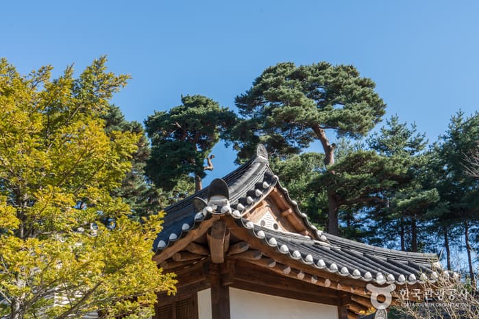 강원_강릉_선교장_전경4