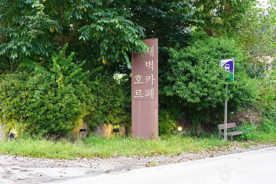 새벽카페호르2