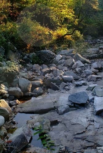 천은사계곡(원주)_02