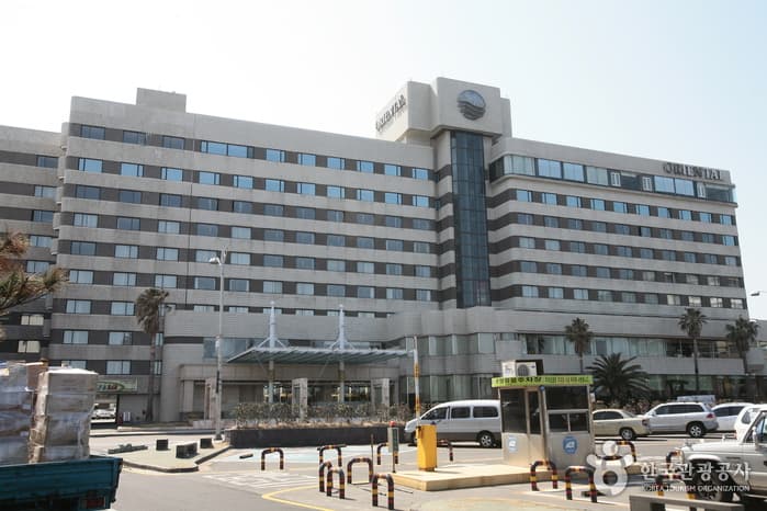 Jeju Oriental Hotel (제주 오리엔탈호텔)