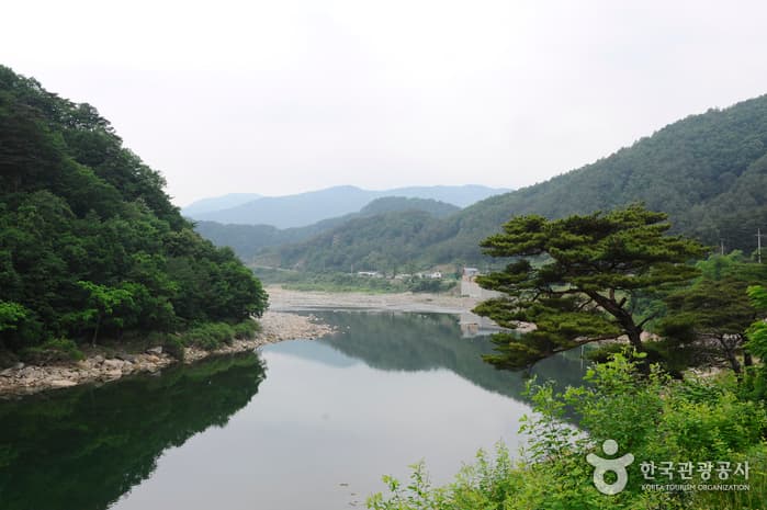 내린천계곡래프팅