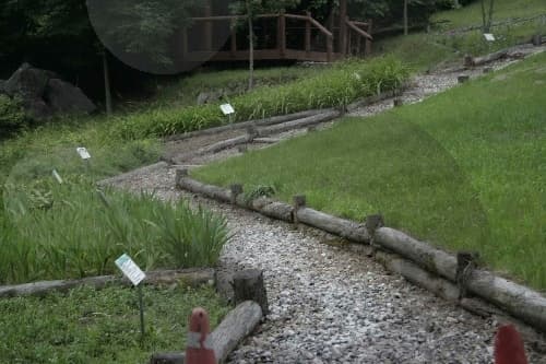 치악산자연휴양림_03