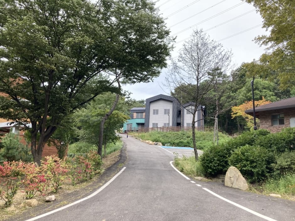 장령산자연휴양림 (15)