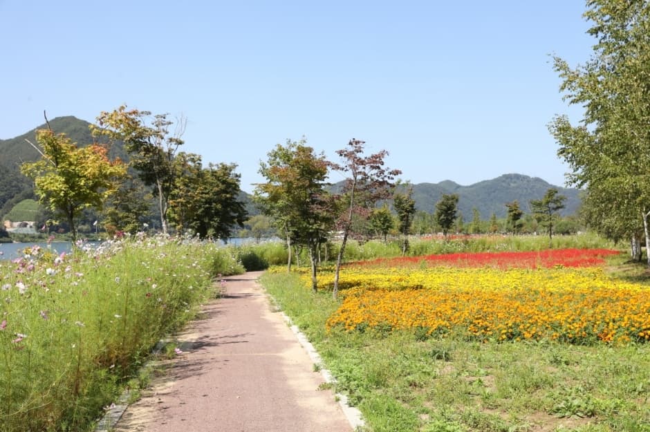숲의 속삭임, 바다의 읊조림에 귀기울여 보는 감성 충만 코스!