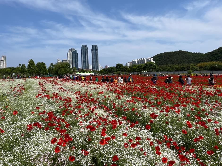 태화강 국가정원 봄꽃축제