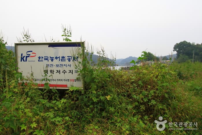 경기_연천_백학저수지03