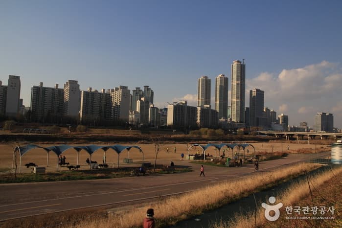 서울_양천_안양천01