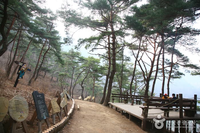 충북_괴산_산막이옛길 걷기14