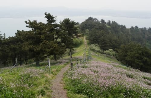 제주 비양도_(3)