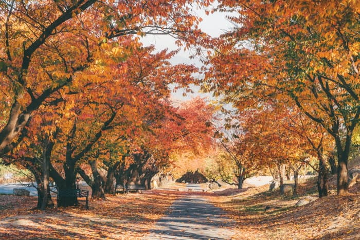 가산수피아_7