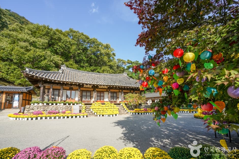경북_구미_도리사(구미) (12)