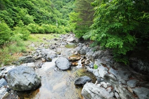 가리왕산자연휴양림_07