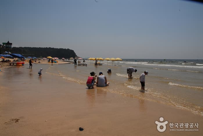서해안 해수욕장을 따라 여행하다